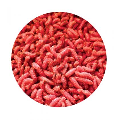 Kent Particles Dead Red Maggots: click to enlarge