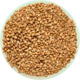 Buckwheat